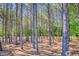 Scenic view of trees on the land, beautiful place for building a home at 1015 Carriage Way, Loganville, GA 30052