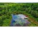 Lush greenery surrounds a serene pond, creating a peaceful and private natural retreat on the property at 1050 Denton Rd, Douglasville, GA 30134