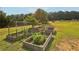 Organized garden beds with a protective wire cage, flourishing with various plants and greenery at 3480 Indian Shoals Rd, Dacula, GA 30019