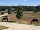 Picturesque pasture featuring horses grazing peacefully, with fenced perimeters and mature trees at 3480 Indian Shoals Rd, Dacula, GA 30019