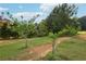 Lush backyard with young trees, a meandering dirt path, and glimpses of the home's exterior at 3480 Indian Shoals Rd, Dacula, GA 30019