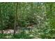 Scenic backyard with a flowing creek surrounded by lush, mature trees and natural vegetation at 4516 Creekwood Circle Nw, Kennesaw, GA 30152