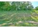 The grassy slope offers ample space for outdoor enjoyment and relaxation at 128 Madison Bnd, Woodstock, GA 30188