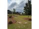 A lovely community green space with attractive landscaping between neighborhood homes at 3848 Hester St, Duluth, GA 30097