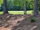 Stunning golf course with manicured green grass and mature trees provides a scenic backdrop at 8239 High Lake Ter, Covington, GA 30014
