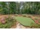 A private putting green and surrounding foliage create the perfect spot to practice your short game at 265 Enfield Ln, Mcdonough, GA 30252