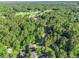 Expansive aerial view of the community and surrounding golf course with lush green trees in the background at 1156 Magnolia Dr, Villa Rica, GA 30180