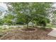 Large tree in front yard, offering shade and serenity to the beautifully landscaped property at 2669 Jefferson Terrace Ter, East Point, GA 30344