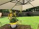Beautiful backyard featuring a table with sunflowers and a large grassy area at 3692 Ramsey Cir, Atlanta, GA 30331
