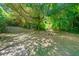 Large, lush backyard featuring mature shade trees and a seating area at 1425 Dalewood Ne Dr, Atlanta, GA 30329