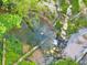 Overhead shot of a peaceful stream with rocky embankments surrounded by dense trees at 2230 Ewing Chapel Rd, Dacula, GA 30019
