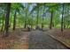 Outdoor firepit area with four Adirondack chairs amid woodsy setting at 315 Glengarry Chase, Covington, GA 30014