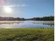 A serene lake view with a grassy bank and two geese in the foreground at 315 Glengarry Chase, Covington, GA 30014