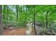 Picturesque creek running through a wooded area at 4000 Mcpherson Drive, Acworth, GA 30101