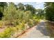 Expansive yard with mature trees and a meandering gravel path, offering a peaceful and natural outdoor environment at 3734 Paige Ne Way # 10, Atlanta, GA 30319