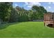 Expansive backyard featuring lush green grass and mature trees, perfect for outdoor activities at 7025 Coffield Ct, Cumming, GA 30041
