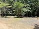 Partially cleared building lot in heavily wooded area at 224 Potts Se Rd, Conyers, GA 30094