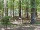 View of storage shed through the trees on the property at 224 Potts Se Rd, Conyers, GA 30094