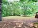 A view of the backyard, featuring a large, cleared yard surrounded by large trees at 60 Parkman Trl, Covington, GA 30016