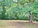 View of the backyard featuring a large, cleared yard surrounded by beautiful, mature trees at 60 Parkman Trl, Covington, GA 30016