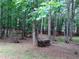 Wooded backyard with mature trees provides privacy and a natural setting at 21 Devin Lane Ln, Euharlee, GA 30145