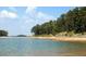 Picturesque lake view with treelined shore, providing a tranquil scene and recreational possibilities at 3642 S Bogan Rd, Buford, GA 30519