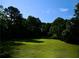 Lush green backyard surrounded by mature trees, providing a private and serene outdoor space at 1621 Oak Rd, Snellville, GA 30078