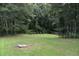 Backyard featuring a well-maintained lawn bordered by mature trees and shrubbery at 3109 Windgate Dr, Buford, GA 30519