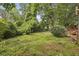 View of the overgrown backyard with mature trees at 1864 Madrona Nw St, Atlanta, GA 30318