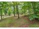 Overlook a large sloping backyard surrounded by mature trees, offering privacy and tranquility at 1301 Ficklen Church Way, Canton, GA 30114
