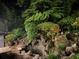 Tranquil backyard pond with stone features and lush foliage at 4601 Tall Pines Nw Dr, Atlanta, GA 30327