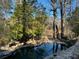 Backyard pool and stone landscaping surrounded by lush, mature trees at 4601 Tall Pines Nw Dr, Atlanta, GA 30327