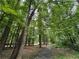 Scenic walking path surrounded by lush greenery and mature trees, perfect for outdoor strolls at 3600 Goldenrod Dr, Alpharetta, GA 30005
