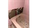 Close-up of a pink bathtub awaiting renovation, set against pink tile and exposed plumbing at 1101 Isa Se Dr, Atlanta, GA 30315