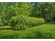 A view of the backyard showing a mature green hedge at 6960 Worley Rd, Cumming, GA 30028