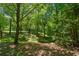 Landscaping in the backyard with lots of tall trees at 6960 Worley Rd, Cumming, GA 30028