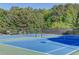 Well-maintained community tennis courts surrounded by lush greenery and tall trees at 5115 Amberden Hall Dr, Suwanee, GA 30024
