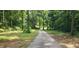 A long, secluded driveway winding through a mature forest at 8601 Flint Hill Rd, Douglasville, GA 30135