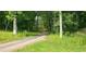 A long driveway winding through a mature forest setting at 8601 Flint Hill Rd, Douglasville, GA 30135