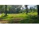 A picturesque view of a grassy lot surrounded by mature trees at 8601 Flint Hill Rd, Douglasville, GA 30135