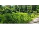 A picturesque view of a lush, overgrown lot surrounded by mature trees at 8601 Flint Hill Rd, Douglasville, GA 30135