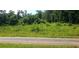 A picturesque view of a lush, overgrown lot next to a paved road at 8601 Flint Hill Rd, Douglasville, GA 30135