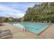 Large swimming pool with lounge chairs surrounded by lush trees in a Gathering-friendly community at 4204 Hardy Ave, Smyrna, GA 30082