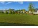 Expansive backyard featuring mature trees and lush green lawn, perfect for outdoor activities at 740 Pineberry Ct, Grayson, GA 30017