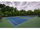A high angle view of pristine tennis courts ready for a match, fenced in for privacy at 6510 Boulder Rdg, Cumming, GA 30028