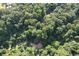 Aerial view of the large wooded property at 6675 Millwood Rd, Cumming, GA 30041