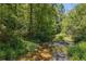 Scenic creek with clear water flowing through a lush, green, wooded area at 6675 Millwood Rd, Cumming, GA 30041