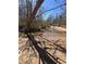 Picturesque creek flowing through the property, surrounded by trees and natural beauty at 6675 Millwood Rd, Cumming, GA 30041