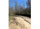 Sandy bank of a serene creek flowing through a natural landscape at 6675 Millwood Rd, Cumming, GA 30041