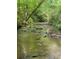 Serene creek view with rocky bed surrounded by mature trees, offering natural beauty at 6675 Millwood Rd, Cumming, GA 30041